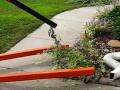 Fail & Win Removing Bushes Without Digging