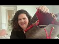 Preloved Louis Vuitton Bag Reveal