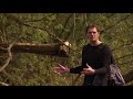 How The Normans Invaded Wales | Dan Snow's Norman Walks | Timeline