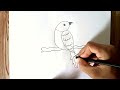 How to draw a bird step by step | drawing bird | bird drawing easy ‎@SajusArt 