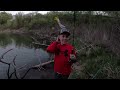 Crappie Fishing from the Bank!  Catch, Clean, and Cook!