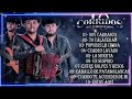 Novillos De La Sierra || Grandes Exitos - Puros Corridos Mix || Las Mas Llegadoras