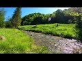 ✅Relaxation in Nature to the very gentle Sound of a Mountain River on a sunny summer day in 4K