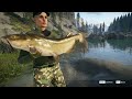 Catching A Diamond Of The Hardest To Catch Fish In The Angler! A Diamond Channel Catfish