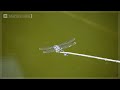 Summer waterside dragonfly Nature Interesting Insect Ecological observation White-tailed dragonfly