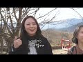 [그래서구례] 26회 고민끝에 결국 공개합니다! 산수유축제의 모든 것 지금 알려드릴게요✨👀