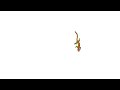CAT TV | Cat Games | Larry the Lizard | Videos For Cats