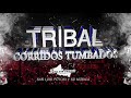 TRIBAL CORRIDOS TUMBADOS \ DJ JUAN CASTILLO [EL ORIGINAL]