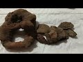 Metal Detecting Old Wardens Homestead