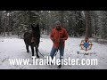 Hobble Training for Horses and Mules