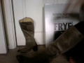 Frye Boots: Jackie Tall fitting 5'5 1/2