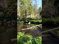 Free camping in central Oregon