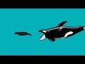 Dinoshark vs Killer whale | AUTO RPG Anything