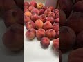 That’s ALOT of peaches. THIS VIDEO IS SOOO SATISFYING😂