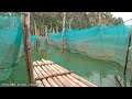 JANGAN KAGET KALAU DI SERANG IKAN NILA MANTAPP!! | RAJIN SETTING PELAMPUNG | SETU COGREG