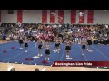 2014 Special Olympics Cheerleading