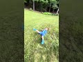 Playing Outside