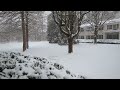 Why does the sound of snow feel surreal?