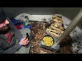 Hot Tent Camping in a Snow Storm | Wood Stove Beef Stroganoff