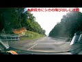 北海道は動物に会える大地＝交通事故に注意！！