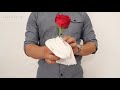 WOW! 7 EASY MAGIC TRICKS