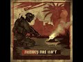 Friendly Fire Isn't (Extended Version)