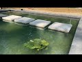 This Formal Pond with Floating Steps has crystal clear water!!