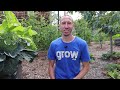 I Planted 9 DIFFERENT CROPS IN ONE SQUARE FOOT and you Won’t Believe What Happened…