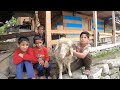 The Village Of Himalayan Shepherd's | Bhitri Village Uttarkashi | Uttarakhand Village Tour Vlog