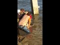 6 foot shark caught on pier at St Simons Island Ga