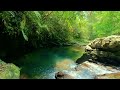 ASMR, Relaxing Nature Sounds