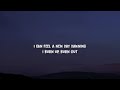 Porter Robinson Musician ( lyrics video)