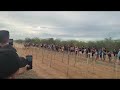 corrida de égua e cavalo égua ganha do cavalo na corrida