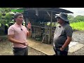 KUMITA ng MALAKI sa BACKYARD KALABAW FARMING - Kayang mag PRODUCE ng 1st CLASS na GATAS!