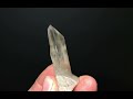 Neat Smoky Quartz crystal