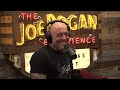 Joe Rogan Experience #2154 - Remi Warren