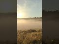 Туман в балке и восход Солнца