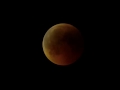 Blood Moon