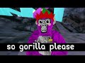 I am NOT gorilla.