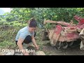 Planting water rice on the plateau @QuangMinhToan