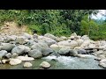 The Calm Mountain River flows in Logawa. Soothing River Sounds, White Noise of Nature