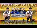 Puros Corridos Exitos - Los Terribles Del Norte Sus Mejor, Juan Acuña y El Terror Del Norte