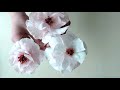 Wafer Paper Butterfly Ranunculus Tutorial  |  How to Make Wafer Paper Flowers