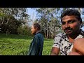 Daily Life Village Farming In Australia 🇦🇺 | Uma Telugu Traveller