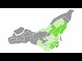 Montreal's Medium-Density Multiplex Neighbourhoods