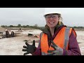 Can Archaeologists Shed Light On Britain's Dark Age? | Digging for Britain