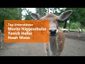 Wildpark Lueneburger Heide