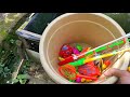 fishing for sharks and sea animals in fish pond, clown fish, angel fish, sea fish - Part110