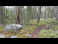 Yosemite hike by Tuolumne Campground