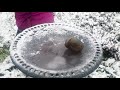 Amelia outside with ice and snow - GoPro Hero4 tests - with music